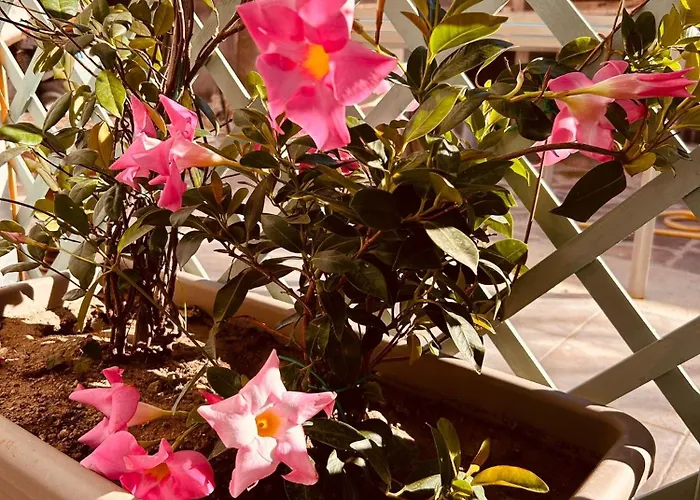 Апартаменты Casa Tholos Charme And Relax *